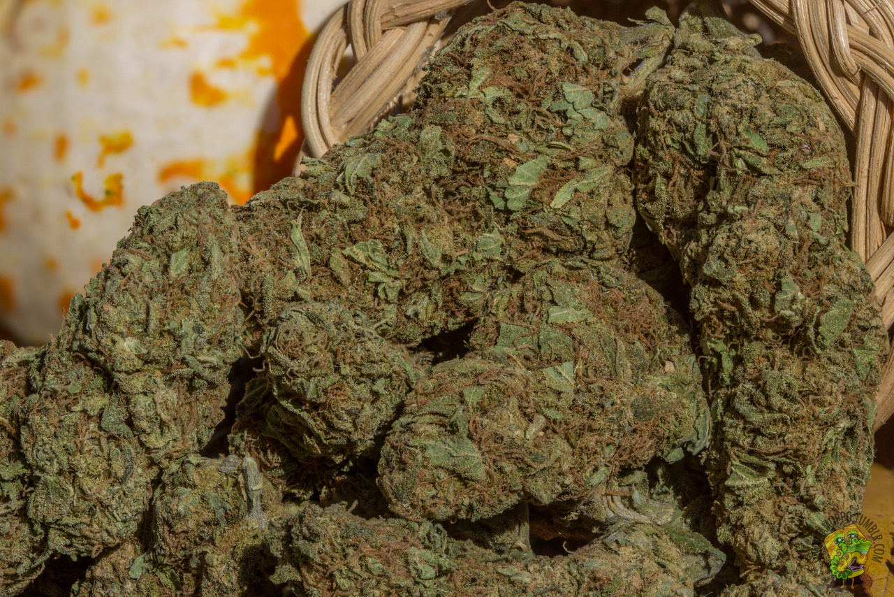 iamoppo:  Unknown Strain