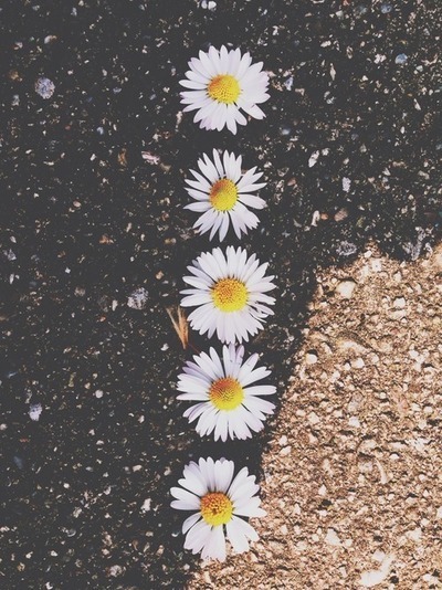 dhaxrma:  . | via Tumblr on We Heart Ithttp://weheartit.com/entry/109597514/via/micheoxo