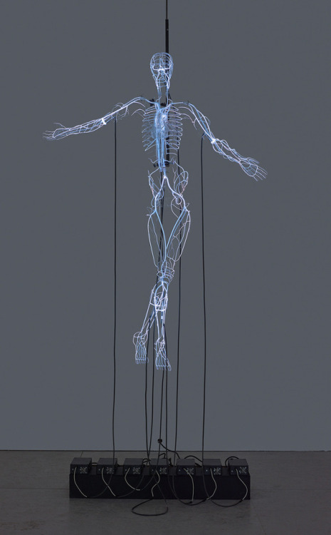 itscolossal - A Pulsating Neon Skeleton by Tavares Strachan Honors...