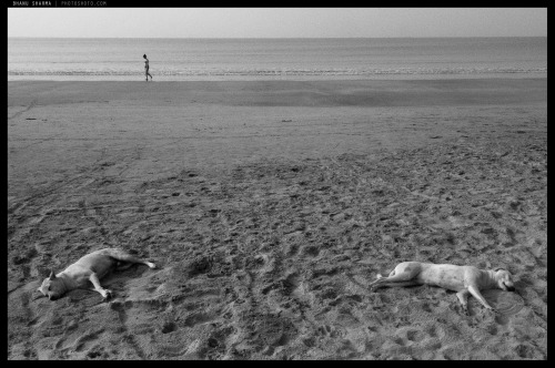 Beach bums.