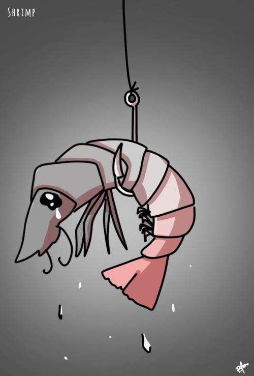 Day Two: Shrimp