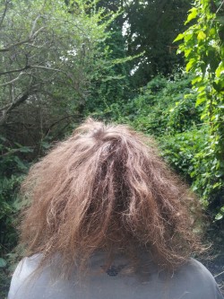 vermigs:  ridiculousinpiccadilly:  h0odrich:  christel-thoughts:  thebloominuniverse:  This is the back of james’ head. He hasn’t washed or brushed his hair in months, and all of it was pretty much dreaded. We just picked all of it our except this