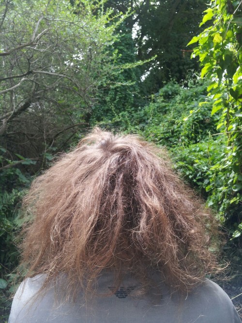 k-i-l-l-a-p-a-m:verylilpimpin:ahegao-intensifies:jugo-de-mango: assdownloader:  christel-thoughts:  thebloominuniverse:  This is the back of james’ head. He hasn’t washed or brushed his hair in months, and all of it was pretty much dreaded. We just