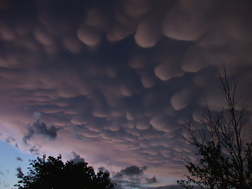 There is a type of cloud called the Mammatus cloud that was named for it's resemblance of boobs.