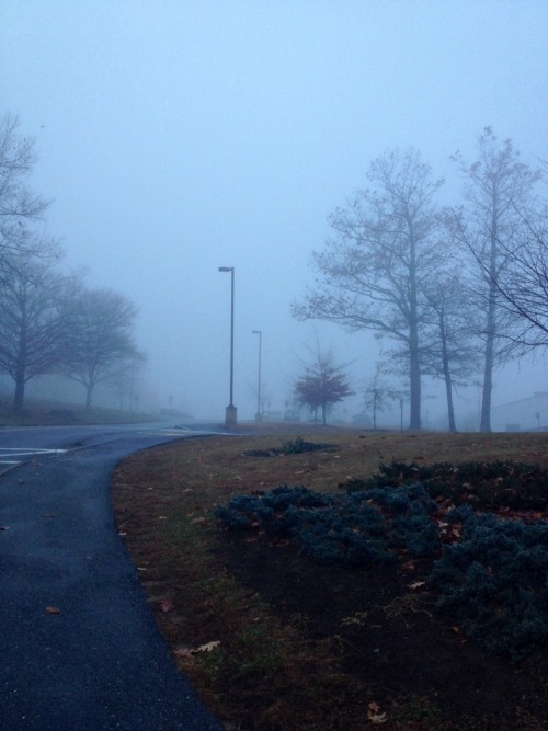 bonusocean:this morning i woke up very early and outside was foggy + nice