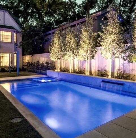 Fountain - Transitional PoolRemodeling Ideas For A Medium-sized Transitional Backyard With A Rectangular