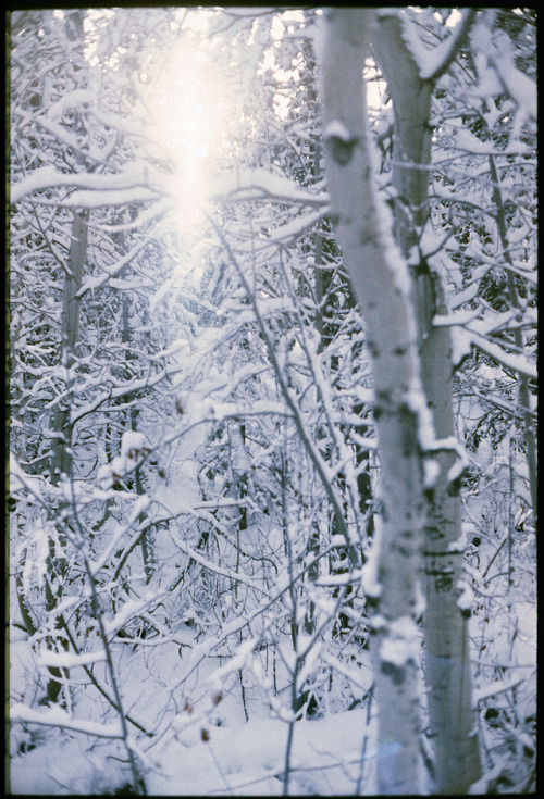 the69thdimension: Grand Teton National Park, Wyoming Expired Kodak Ektachrome 100 // Leica M5