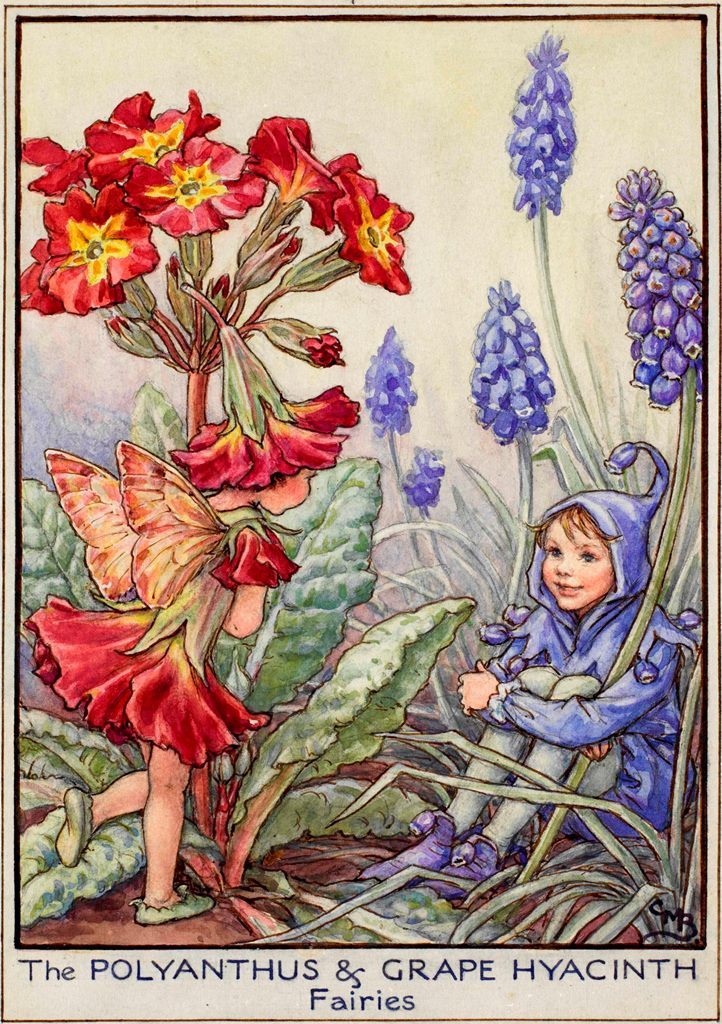 art-from-me-to-you:Cicely Mary Barker, Fairies of the Garden