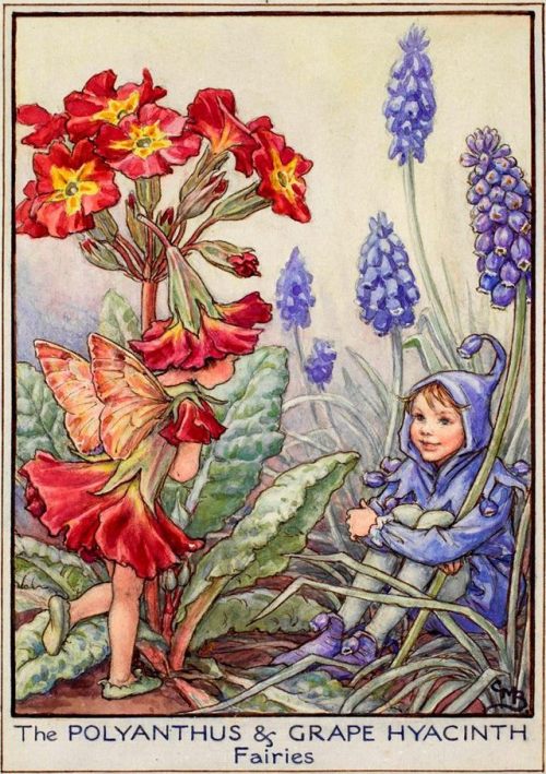 Sex art-from-me-to-you:Cicely Mary Barker, Fairies pictures