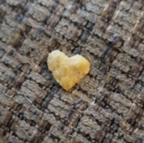 It's A Chip