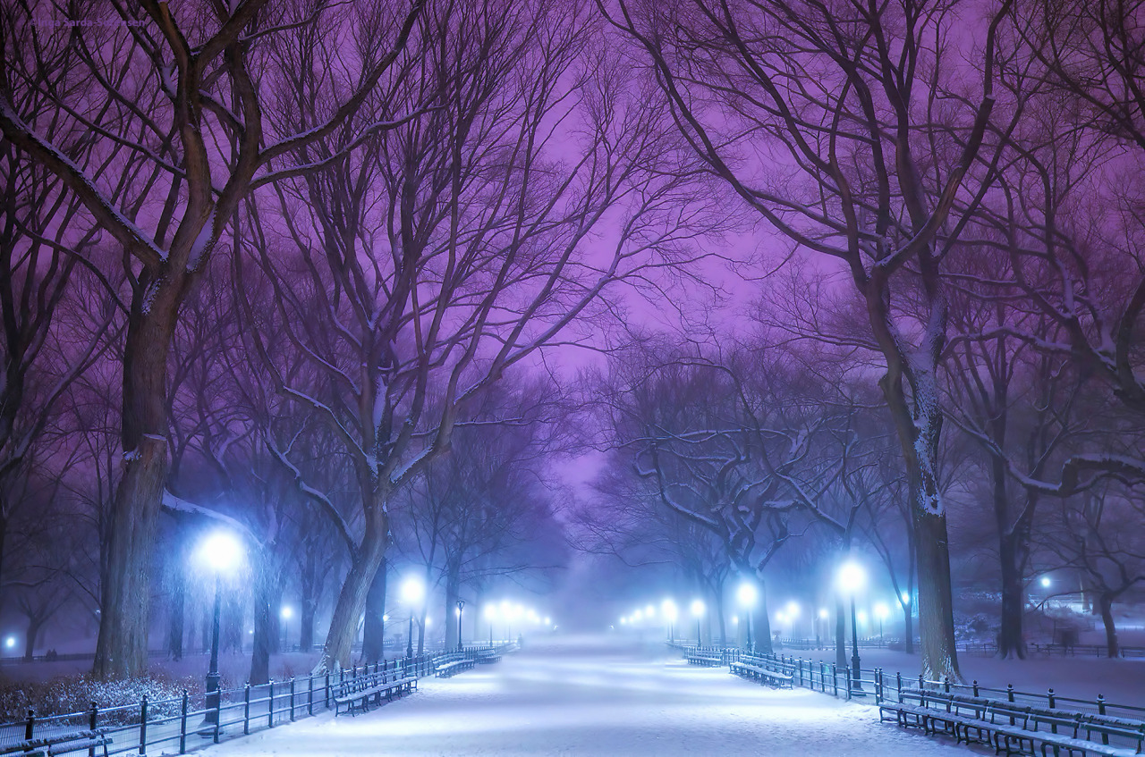 Central Park is dreamy in tonight’s snow  				Inga&rsquo;s Angle 				One shutterbug&rsquo;s