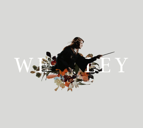 krvm: harry potter - ginny weasley let her run wild in her own way and you will never lose her