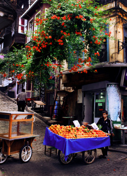  Istanbul, Turkey 