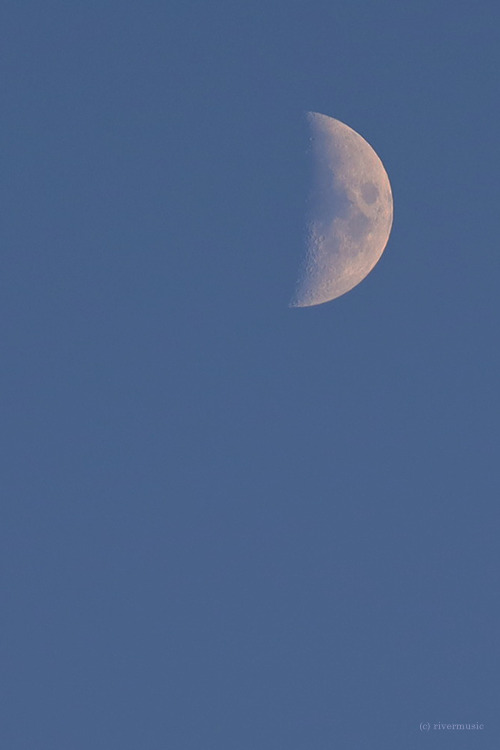 First Quarter Moon at Sundown: © riverwindphotography, October 22, 2020