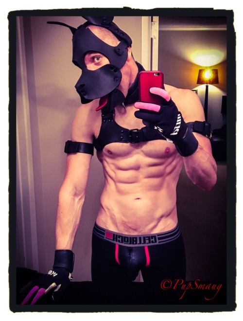 pupsmaug:  