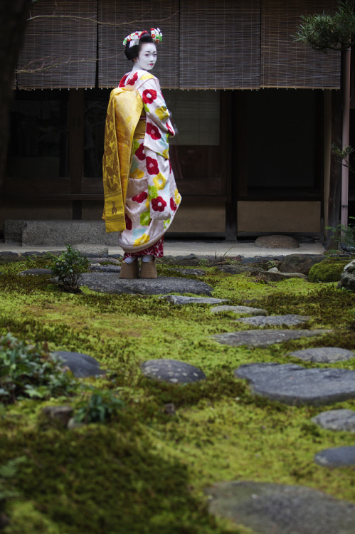 oiran-geisha: The maiko Ichiyu! I love her so badly T.T (Source)