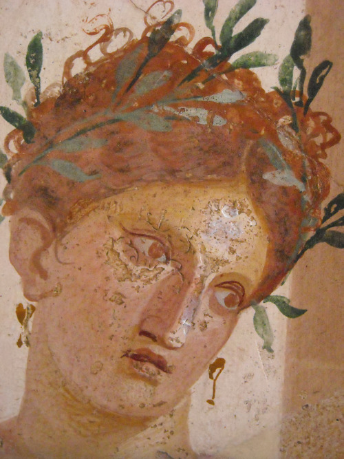 thingswoolike: Fragment from Herculaneum - Napoli, Museo Archeologico 