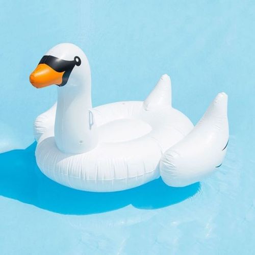 @sunnylifeaustralia inflatable swans have arrived! Come in and see us @superettestore to get your ha