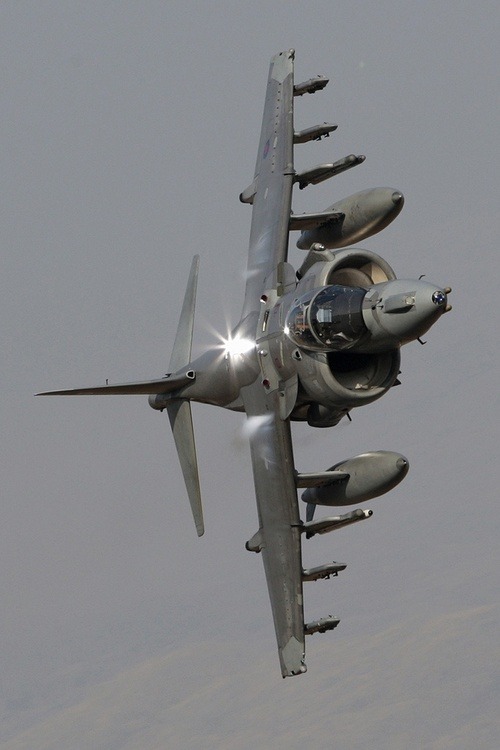 airplanesgonewild:  harrier 