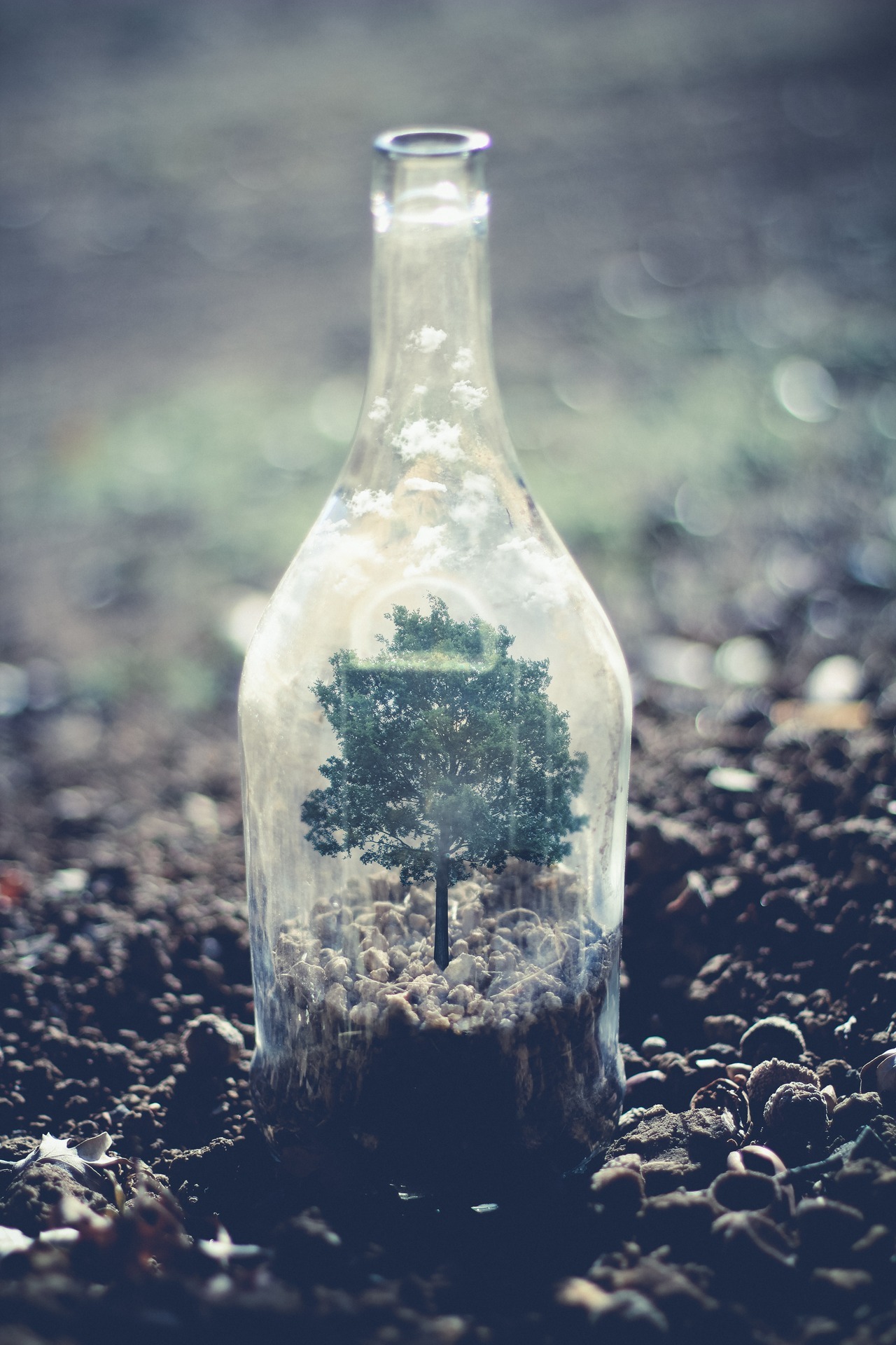 be-a-serial-killer:  freckled69:  Follow me, Nature, Vintage, Photography Blog! 