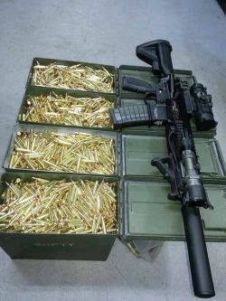 Bag full of guns