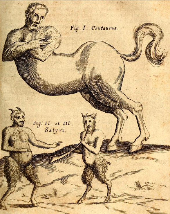 magictransistor: Gaspar Schott. Physica Curiosa, Mirabilia Naturæ et Artis. 1662.