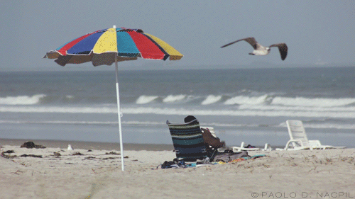 capturedphotos:Frozen In Time - Mid-Flight Cocoa Beach, Florida. Photographed by: Paolo Nacpil