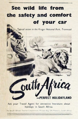 South Africa Tourism, 1953 (Australia)Theme Week: Travel 🌎 #travel#tourism#south africa#australia#1950s#1953#animals#vintage advertising
