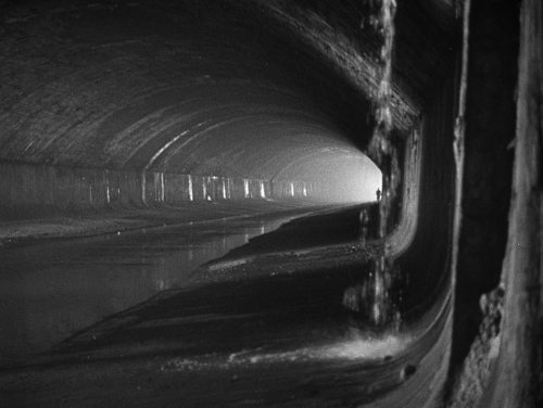 “Death’s at the bottom of everything, Martins. Leave death to the professionals.”The Third Man