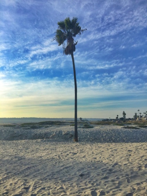 Coronado Island - California - USA (by annajewelsphotography) Instagram: annajewels