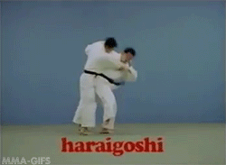 mma-gifs:  Judo Throws