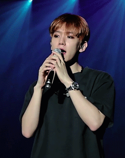 sehunoh: hardworking beagle