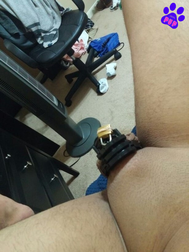 lockedndenied:  dakota-pup:  Decided to order a new cage off of Amazon :)  Such a