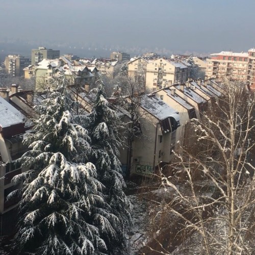 ❄️When I arrived in Belgrade, Serbia at the end of 2020❄️ #Snow #Winter #Belgrade #Serbia #WinterWon