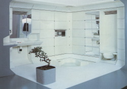 palmandlaser:  From “The International Collection of Interior Design” (1985) 