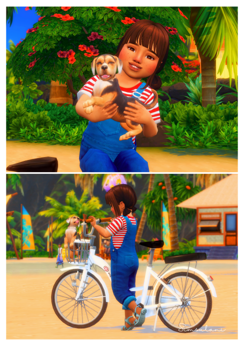 hellosimsulani: #232 Pose Pack - A little Puppy (free 14 May 22) 6 POSESAndrews Pose Player  Telepor