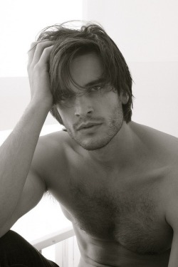 Daniel Ditomasso