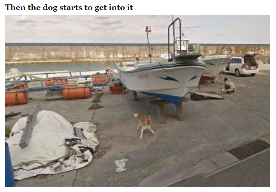 recommend:Dog Ruins Every Frame of Google Street View by Chasing the Camera (x)