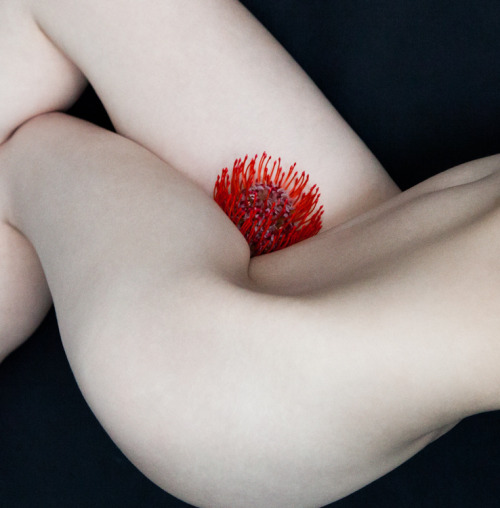 Porn ruineshumaines:  Torkil Gudnason, Body Vase. photos