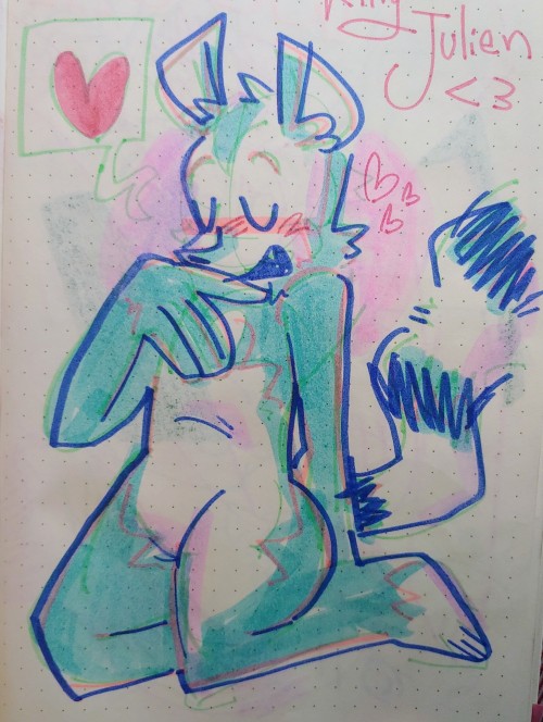 Silly Animals