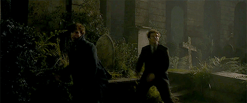 newtscamand-r:   ‘Fantastic Beasts: The Crimes Of Grindelwald’ (2018), dir. David