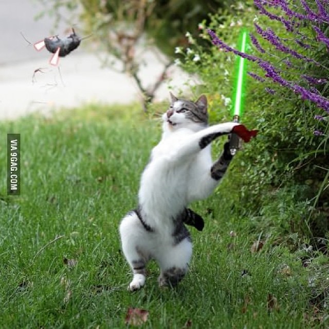 9gag:  Everything looks cooler with lightsabers! 