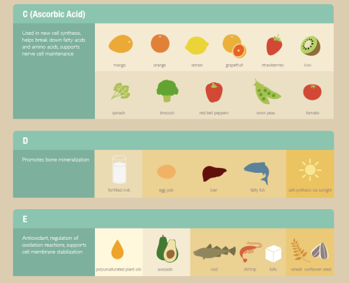 Vitaminaquid ea faciant atque in quibus cibis sintthe-more-u-know:A Vitamin Cheat sheet that let’s y