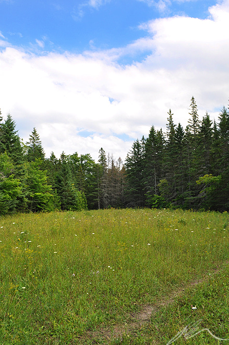 Image taken in Soldier&rsquo;s Garden on Mackinac Island.