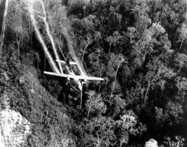 Agent Orange, Vietnam.