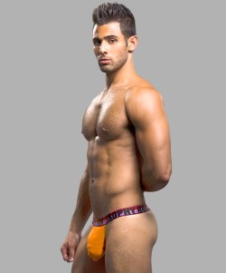Ripped Gay Muscle