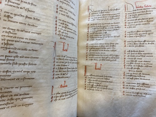 Ms. Codex 902 -[Chansonnier]It’s time for some French poetry! This manuscript features a collection 