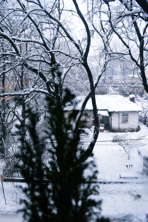 plovdiv