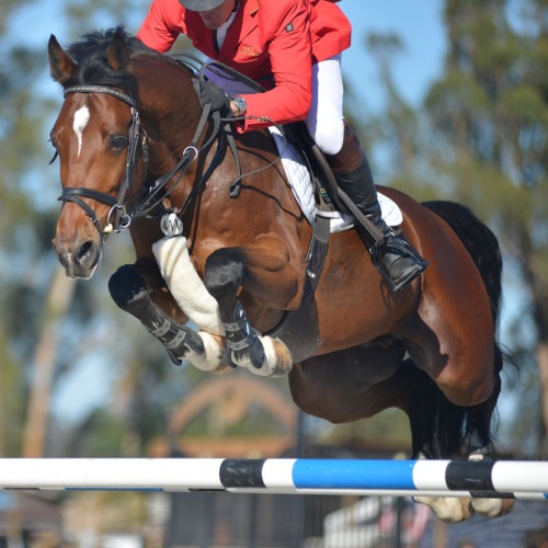 Bjorn Ikast - Sonoma Strides and Tides Grand Prix Sept 2013