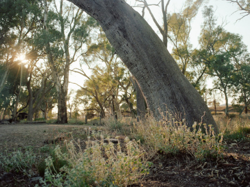 Spent two nights away from the noise.The Flinders Ranges, September 2017